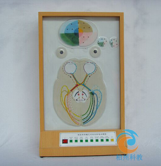 ҕ�X����(d��o)ͫ�׌��ⷴ��늄�ģ��