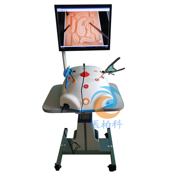 ΢��(chu��ng)���g(sh��)ģ�MӖ(x��n)����