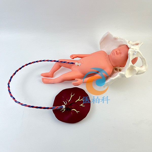 �ӑB(t��i)�������a(ch��n)����ʾ��ģ��