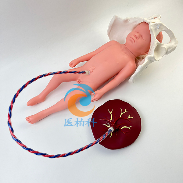 �ӑB(t��i)�������a(ch��n)����ʾ��ģ��