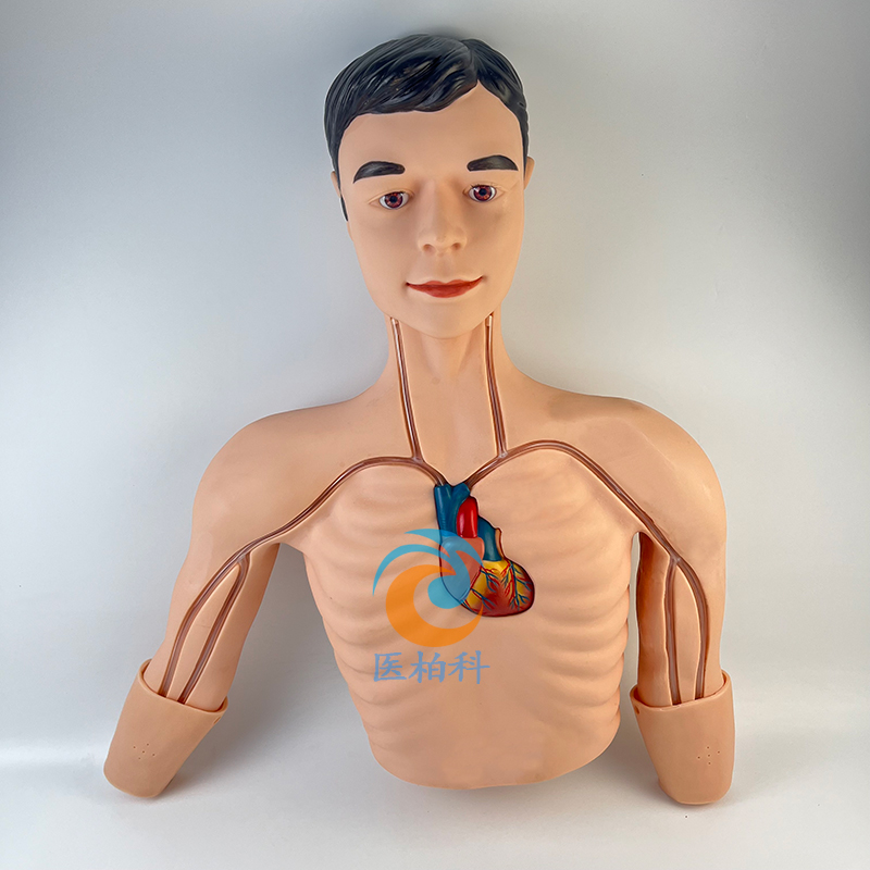 PICC�������Ӗ(x��n)��ģ��