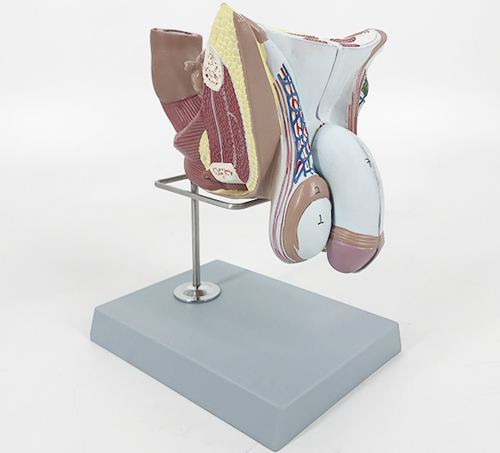 �߼����ԃ�(n��i)����ֳ��ģ��4��