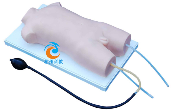 ��ͯ���o�}�c�Ʉ��}����Ӗ(x��n)��ģ��