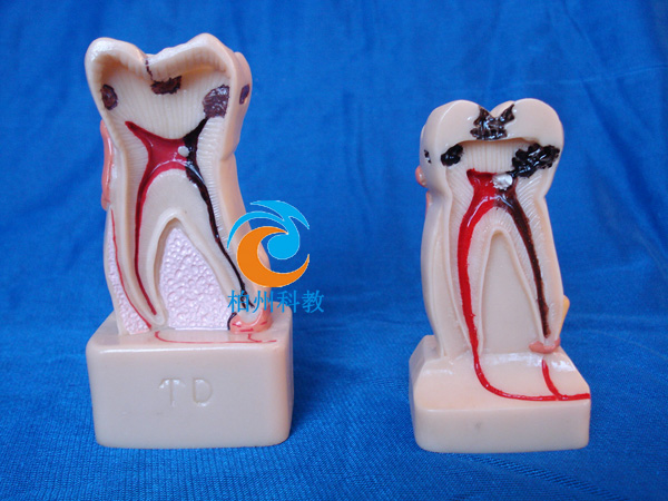 4�����w�C�ϲ���ģ��