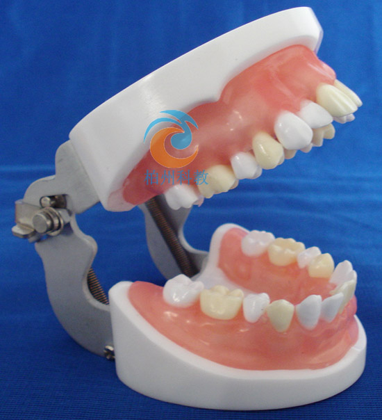 �t(y��)���Y��ԇ����ģ��