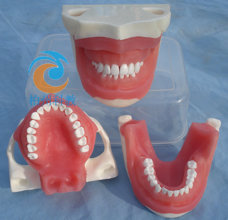 ���팍�`ģ��