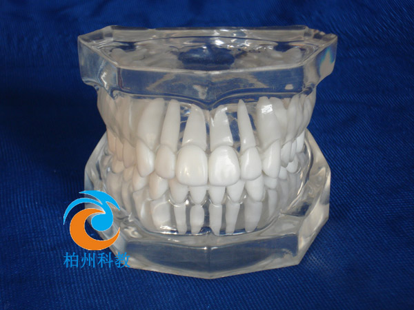 �˜�ˮ������ģ��(�o�M��)