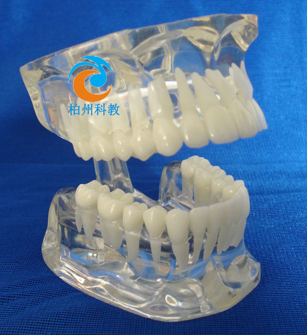 �˜�ˮ������ģ��(��frassaco�M��)