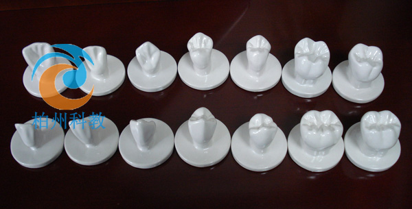 4���մ����wģ��