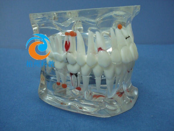 �C�ϲ���ˮ������ģ��(28�w��)