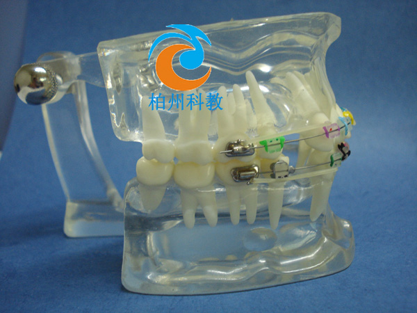 �C������ˮ������ģ��