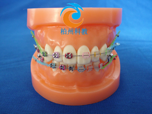 �C�������pɫ����ģ��