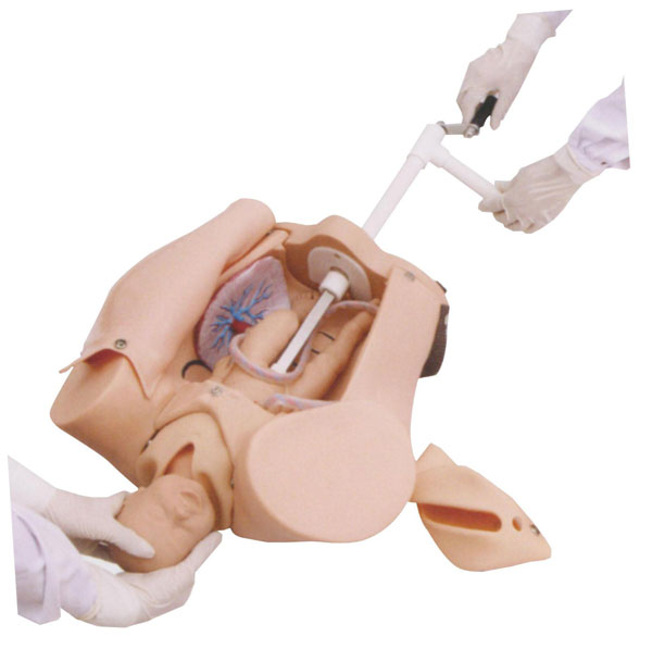 �߼��֓u����C(j��)��ʾ��ģ��