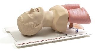 �M(j��n)�ښ������ģ��