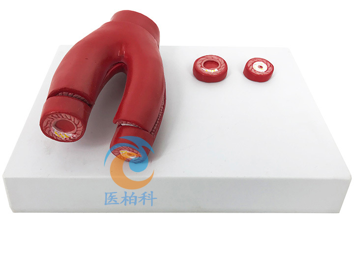 ���}Ӳ��ģ��