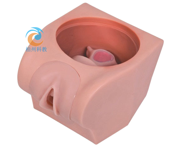 �߼�(j��)Ӌ(j��)��������ԇģ��