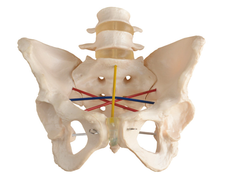 ����y(c��)��ʾ��ģ��