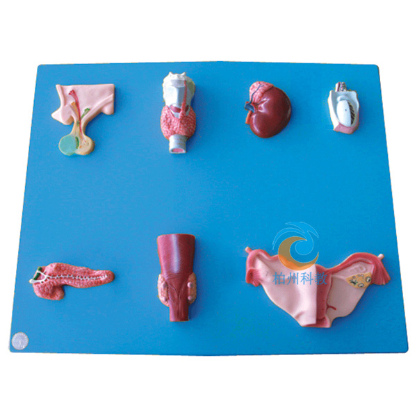 ���w��(n��i)��������ģ��