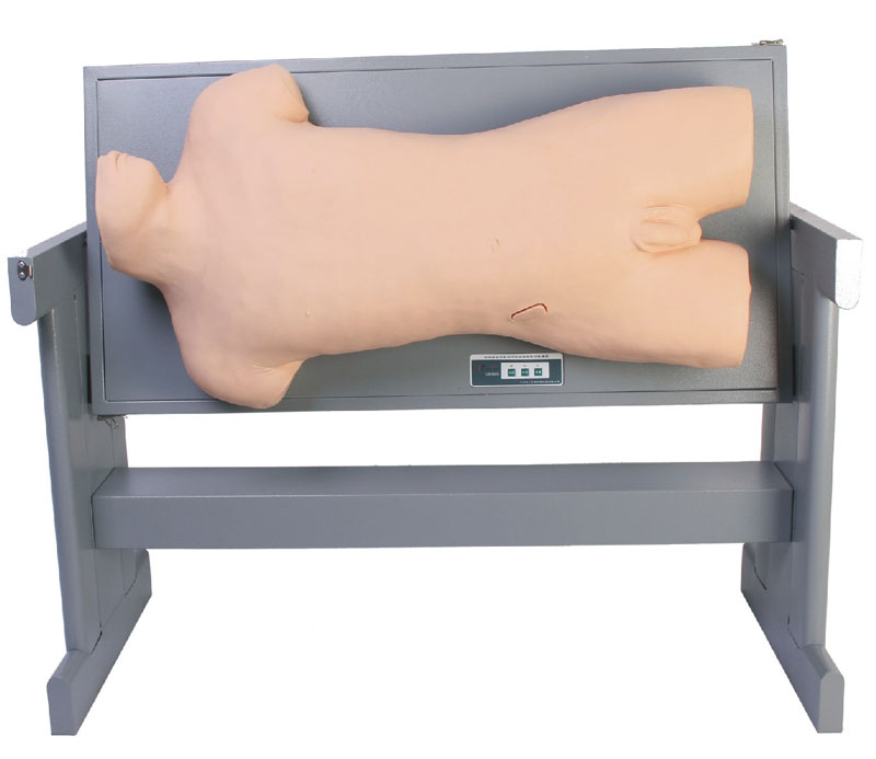 �����Ƅ�(d��ng)�ԝ�ߵ�\�c��ǻ����Ӗ(x��n)��ģ��