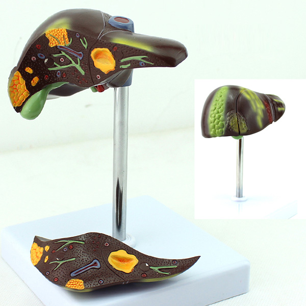 ���K����ģ��