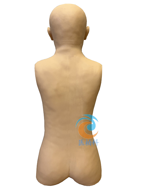 ���t(y��)�ι�ģ��