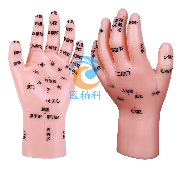 С��������ģ��17CM